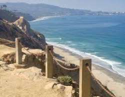 It is said that the beach is named after the black It is said that the beach is named after the black family that moved to La Jolla sometime in the late 1940s. They bought roughly 248 acres on Torrey P